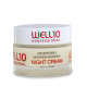 Well10 Brightening Night Cream